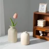 Random Retro Style Ceramic Vase Home Solid Color Vase Desktop Decoration Vessel